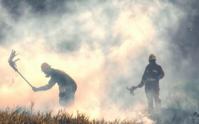 Skuteczne obniżanie cholesterolu